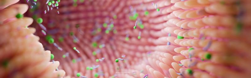 Microbiota e inflamação crônica